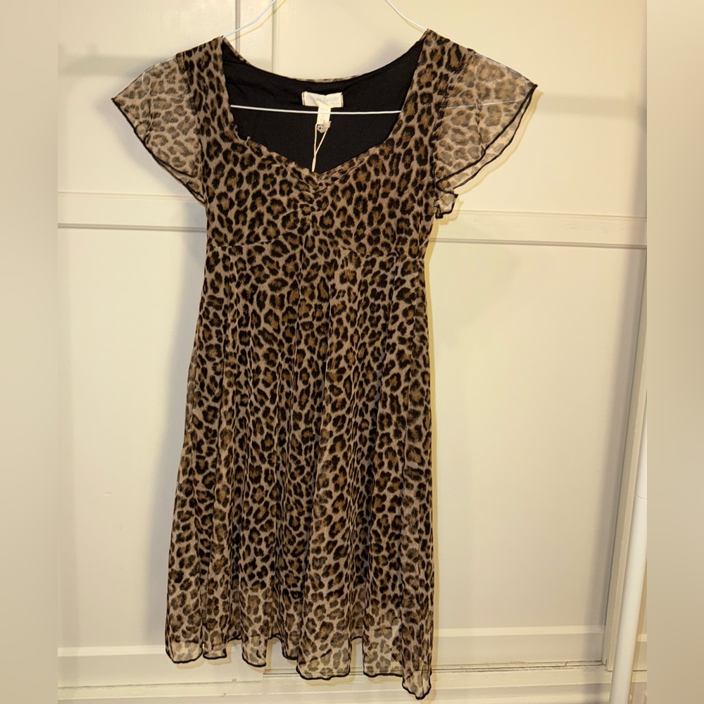 Leopard Print Dress with Sheer Sleeves